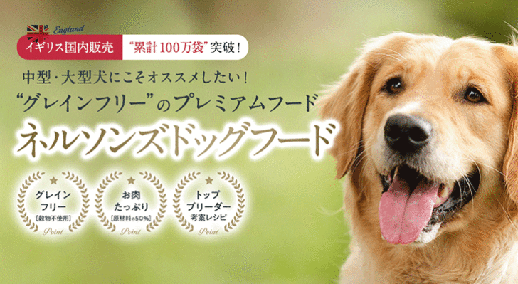 ネルソンズドッグフード